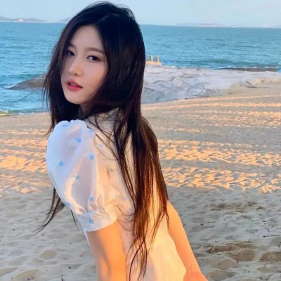我和我的伙伴